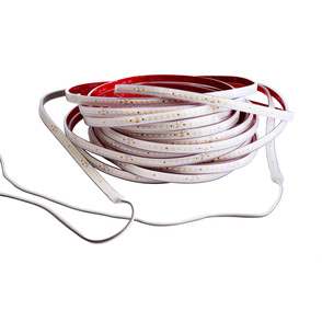 LED Stripes ab IP44 bei Elektroinstallation Maas in Zeitz