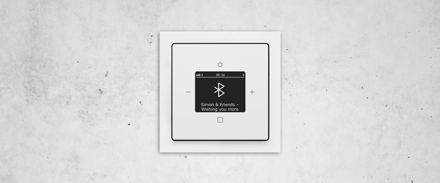 Busch-Radio Btconnect bei Elektroinstallation Maas in Zeitz